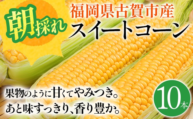 
                  スイートコーン 期間限定 福岡県古賀市産スイートコーン 10本 とうもろこし 朝採り 甘い あまい フルーツ並 生 野菜 旬 九州産 福岡県産 ジューシー トウモロコシ 高糖度 農家直送【6月中下旬～7月上中旬に順次出荷予定】
                