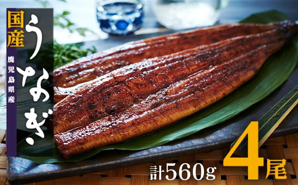 【ふるなび限定】国産 うなぎ 長蒲焼  140g×4尾（計560g） ｜うなぎ