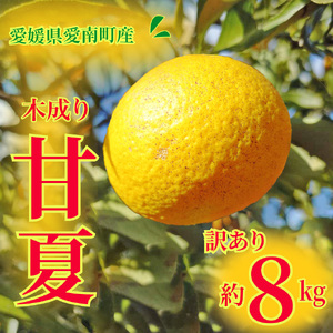 訳あり 甘夏 8kg 甘夏