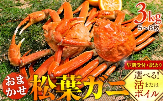 
                  【早期受付】【選べます！活またはボイル】訳あり 松葉ガニおまかせ3kg（5～8枚）※着日指定不可※2026年11月上旬頃から順次発送予定 ｜ 蟹 かに 松葉ガニ 松葉蟹 訳あり 家庭用 鳥取県産 北栄町 おすすめ 人気
                