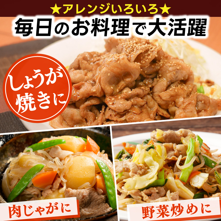 ＼9ヶ月連続 定期便／【岩手県産豚肉】小間切れ600g (300g×2パック) (総計 5.4kg) 大容量 肉 冷凍 小分け 肉じゃが しょうが焼き お弁当 おかず 岩手 いわちく 紫波町（AB13