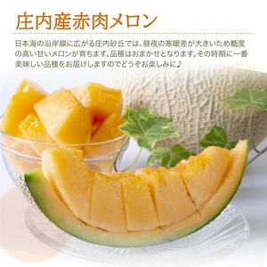 SA2894　特選 庄内産 赤肉メロン　約4kg(大玉/2玉入) 品種おまかせ
