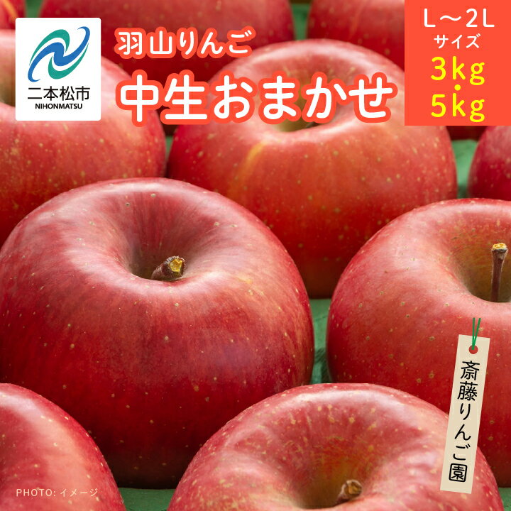 【ふるさと納税】 ＼選べる容量！／《2025年10月以降順次発送》羽山のりんご　中生おまかせL〜2Lサイズ3kg〜5kg りんご リンゴ 果物 フルーツ 羽山りんご リンゴ 3kg 5kg 人気 くだもの おすすめ お中元 お歳暮 ギフト 二本松市 ふくしま 福島県 送料無料 【斎藤りんご園】