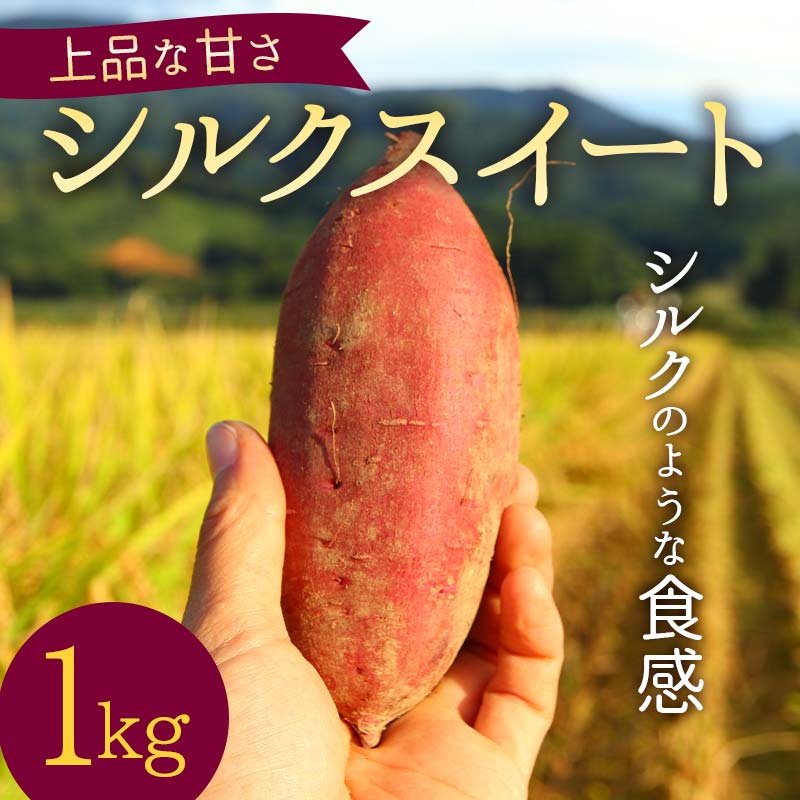 【ふるさと納税】 ＜2026年秋収穫分 先行予約＞ 上品な甘さの【シルクスイート】1kg （栽培期間中、農薬、化学肥料不使用） さつまいも サツマイモ 芋 F3S-2615