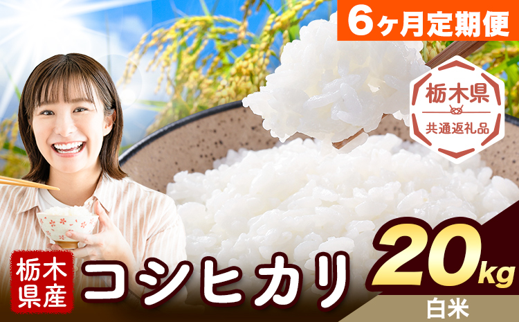 【 6ヶ月定期便】令和7年度産 米 栃木県産 コシヒカリ 白米 20kg《お申込み翌月から出荷》栃木県 野木町 米 白米 精米 国産 お米 おこめ お弁当 おにぎり【栃木県共通返礼品】