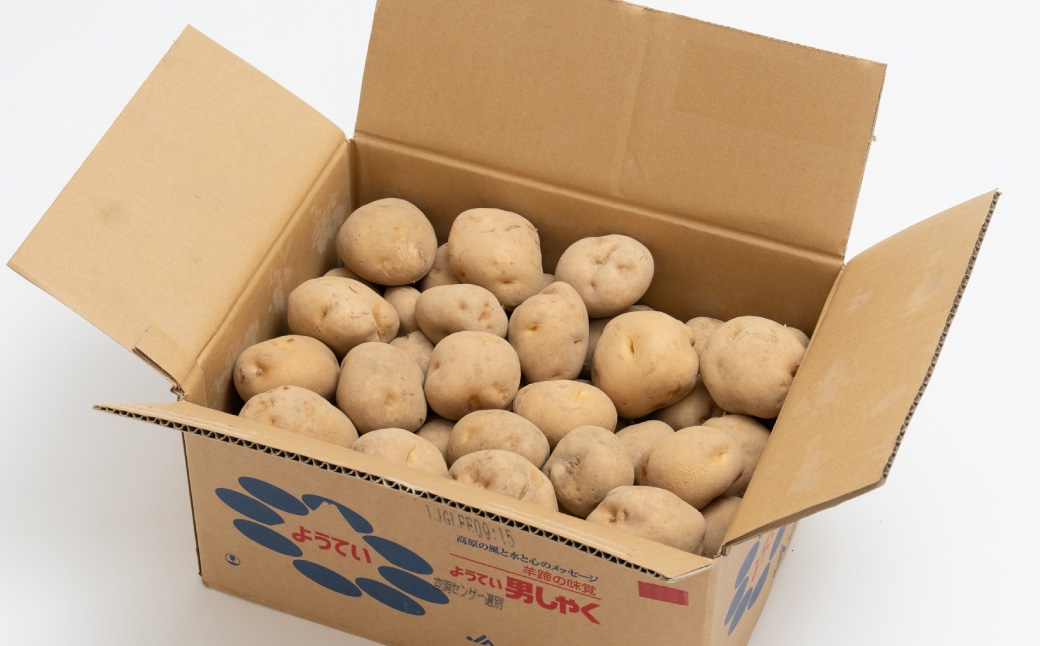 じゃがいも男爵L約10kg1箱・じゃがいもキタアカリL約10kg1箱JA