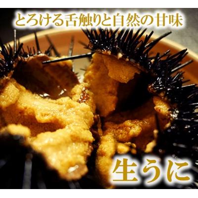 ふるさと納税 普代村 【期間限定】 牛乳瓶入りウニ(生うに)180g×1本【ミョウバン不使用】【塩水】 |  | 01