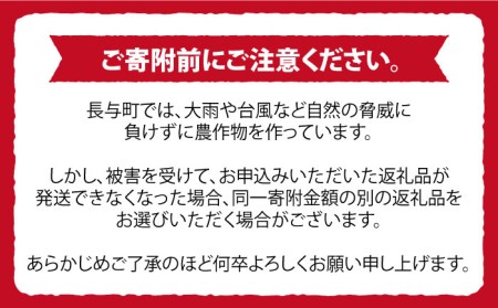 【優品】味ロマン 約5kg （約50-60個）ー2024年11月下旬より発送ー長与町/長崎西彼農業協同組合 長与支店 [EAH005] みかん ミカン みかん ミカン みかん ミカン みかん ミカン 