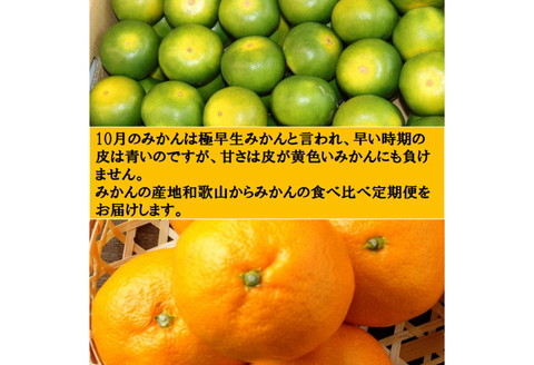 【8006-1】厳選みかん定期便5kg　3回（10月、11月、12月）《先行予約》固定月にお届け予定