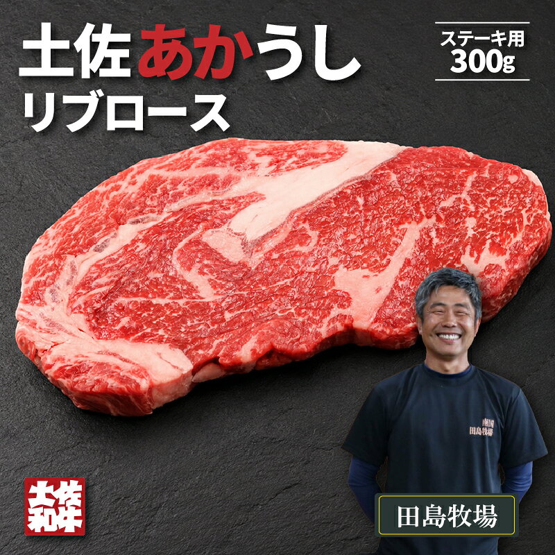 【ふるさと納税】 土佐 あかうし 赤牛 赤身 リブロース ステーキ用 300g | 和牛 あか牛 アカウシ 牛肉 希少 ブランド 国産 プレゼント ギフト 冷凍 贈答 高知県 南国市