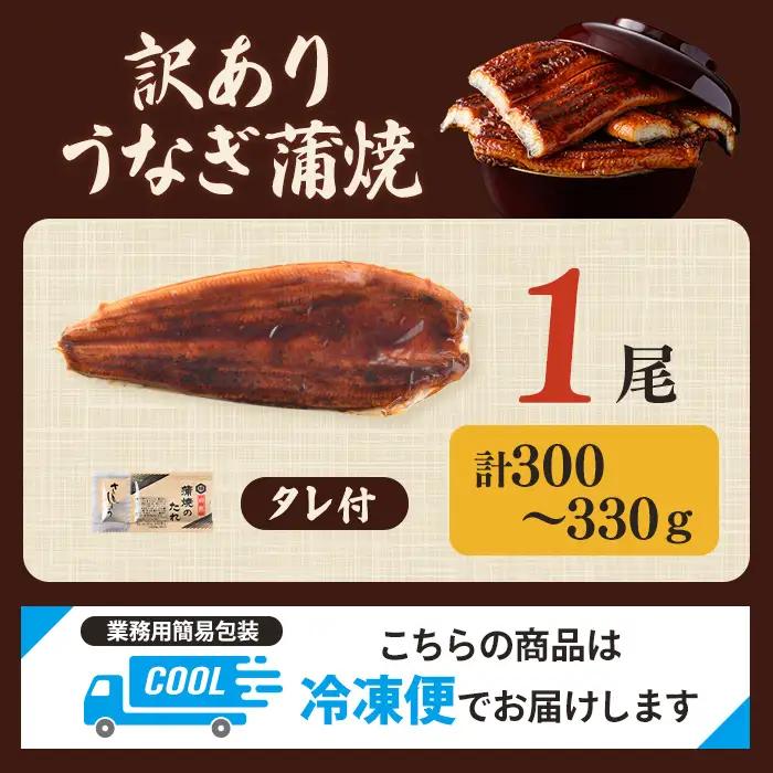 うなぎ 訳あり 1尾 計300g以上 すぐ届く【うなぎ】【ho1684】