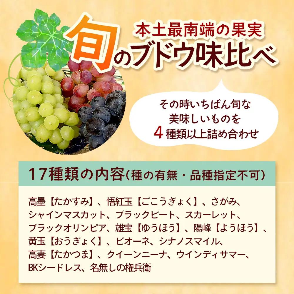 【期間限定!数量限定!】今が旬！ブドウ味くらべ約3kg (6～7房) TE710｜産地直送 旬 ブドウ 葡萄 ぶどう フルーツ 果物 くだもの 果実 食べ比べ 鹿児島県 南大隅町 有限会社ティエラ　