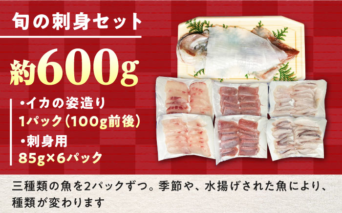 対馬 イカ 姿造り と 刺身 の セット 約600g【真心水産】《対馬市》新鮮 海鮮 いか 冷凍 刺身 ケンサキイカ 島魚 海鮮丼 手巻き寿司 [WAK011]