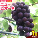 【ふるさと納税】岡山県産ニューピオーネ（1房680g以上）1房入り　令和7年産先行受付 《2025年9月上旬-10月中旬頃出荷》 【配送不可地域あり】