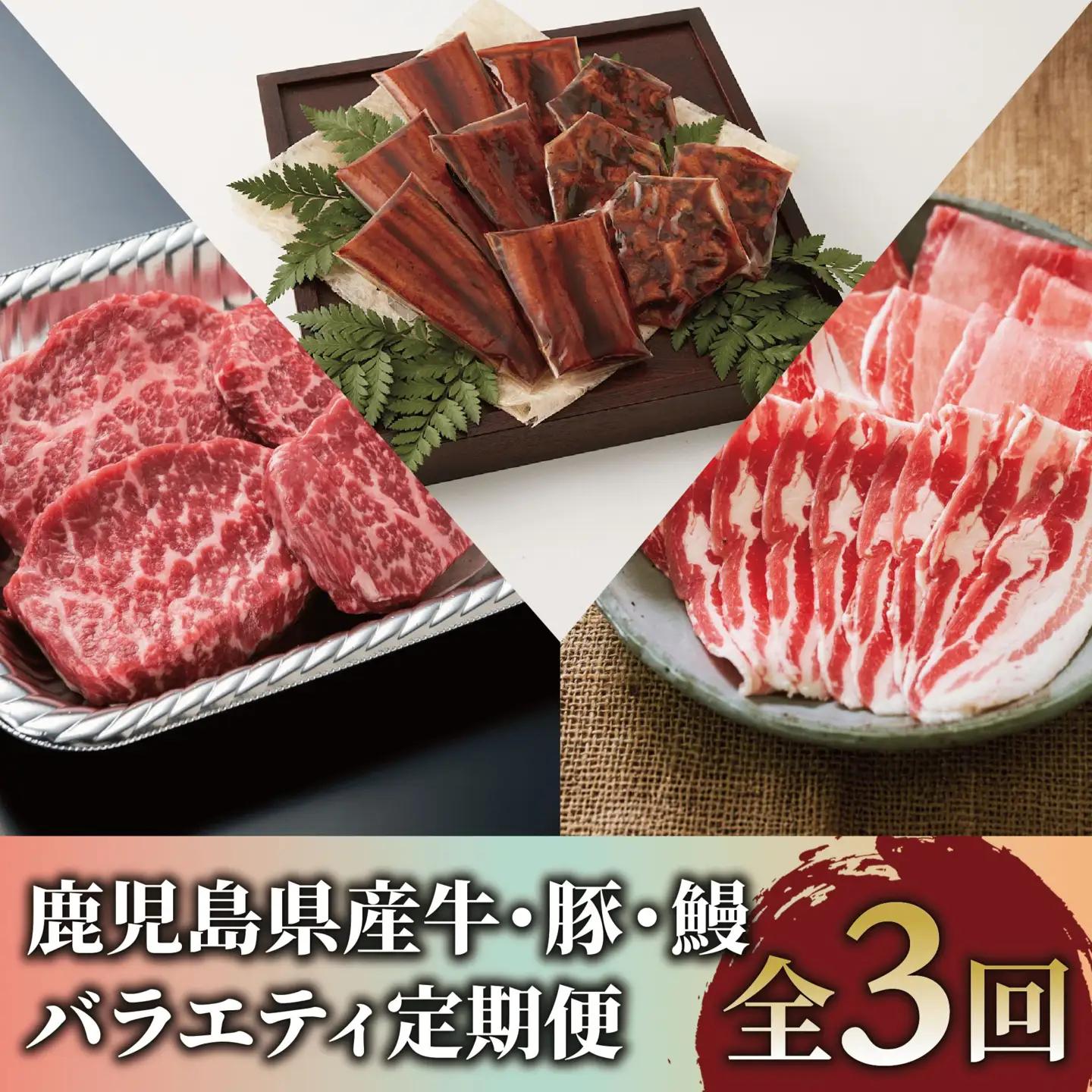 全３回 定期便 鹿児島県産牛･豚･鰻バラエティ 定期便 IBZ999-004