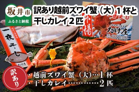 【先行予約】訳あり≪茹で≫越前ズワイ蟹(大) 1杯 と 干しカレイ 2匹【2026年1月～3月発送予定】 [K-1602]