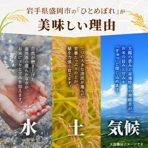 【先行予約/12ヶ月連続定期便】令和7年産新米 岩手県産 ひとめぼれ 10kg×12回 米 盛岡産 お米 白米 精米 ブランド米 単一原料米 10キロ こめ コメ おこめ ご飯 ライス 東北 岩手 岩