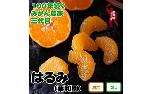 ■和歌山県 有田産 はるみ 約2kg (ご家庭用)　※2025年2月中旬頃～3月下旬頃に順次発送予定 ※着日指定不可【krw013-c-2】