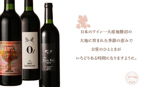 ワイン村 おまかせワイン（赤）3本セット（KWV）D4-620 【ワイン 勝沼ワイン村 赤ワイン 甲州市 山梨県 】