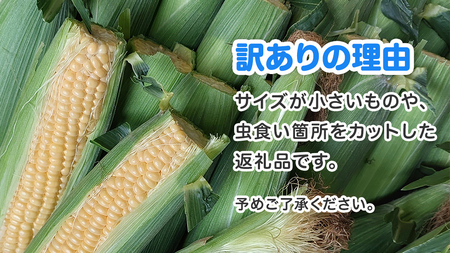 【 朝穫れ 当日出荷 】 訳あり スイートコーン 「 おおもの 」 約5kg 甘い 新鮮 皮付き トウモロコシ とうもろこし コーン 野菜 [DX008ci]