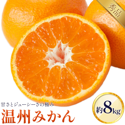 温州みかん 8kg 日本フルーツ株式会社 《10月中旬-2月中旬頃出荷》 熊本県 長洲町 デコポン 果物 秀品 フルーツ スイーツ デザート ギフト ご贈答