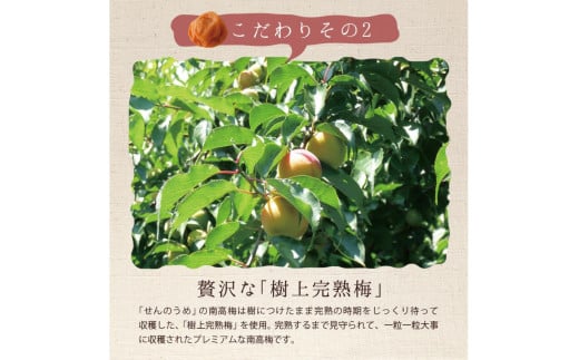 【A級品】紀州南高梅 田舎梅 1kg 塩分10％ / 梅干し 梅干 うめぼし 南高梅 国産 梅 うめ ウメ 完熟 健康 ご飯のお供 昔ながら 贈り物 ギフト プレゼント お取り寄せ せんのうめ 和歌山県 田辺市 仙宝【spo003-2】