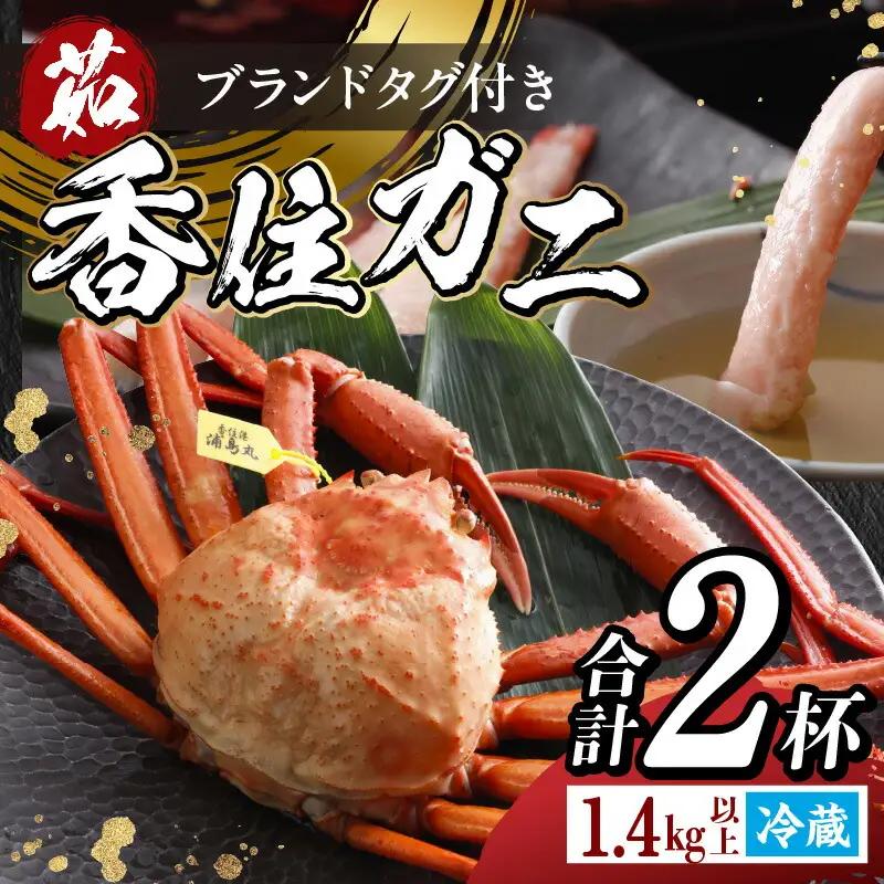 高評価☆4.7 【タグ付き】 浜茹で 香住ガニ 1.4kg 【令和8年9月中旬以降発送予定】 カニ かに 19-13