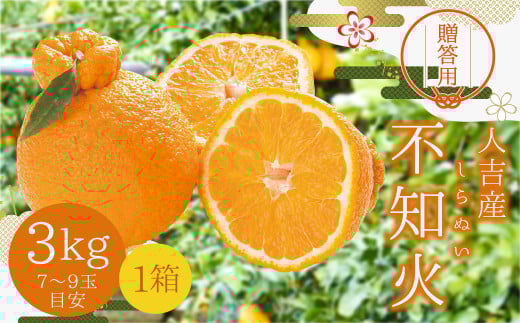 【贈答用】人吉産 不知火 （しらぬい） 3kg フルーツ 果物 くだもの 柑橘 デコポン でこぽん お取り寄せ【2025年12月下旬発送予定】