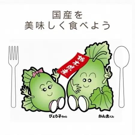 下野ブランド　下野市産かんぴょう　　　　約200g【1485724】
