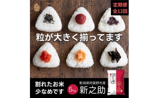 【令和7年産新米】【12か月定期便】 新潟県阿賀野市産 新之助 5kg×12回 計 60kg 米杜氏 壱成 白米 精米 大粒 つや 光沢 弾力 芳醇 1H55193
