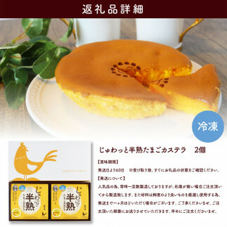 TKA016　じゅわっと半熟たまごカステラ もっちりとろける食感と、コクのあるたまごの風味がクセになる半熟卵カステラ 2個入り 個包装 高知 返礼品 スイーツ 人気 お土産 お取り寄せ 冷凍 高級 お