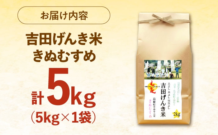 白米 おこめ げんき米 単品 きぬむすめ ごはん お弁当 国産 おいしい 
