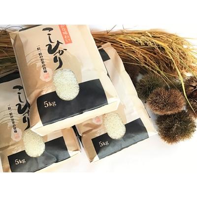 ふるさと納税 高島市 実生庵の近江米【四季風流】コシヒカリ 5kg×3袋 精米 MS85
