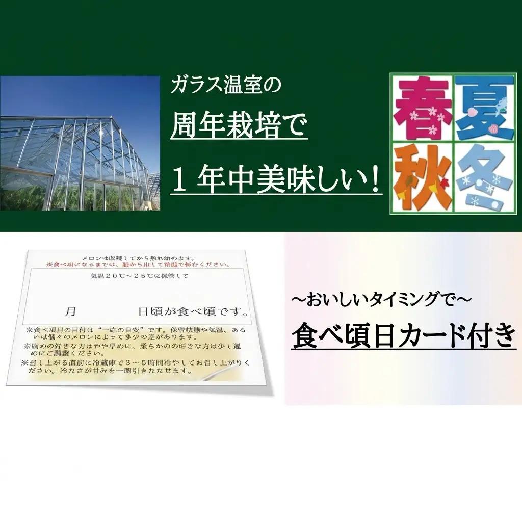 クラウンメロン 白上級 静岡県産 クラウンメロン【1玉】【10ヶ月定期便】