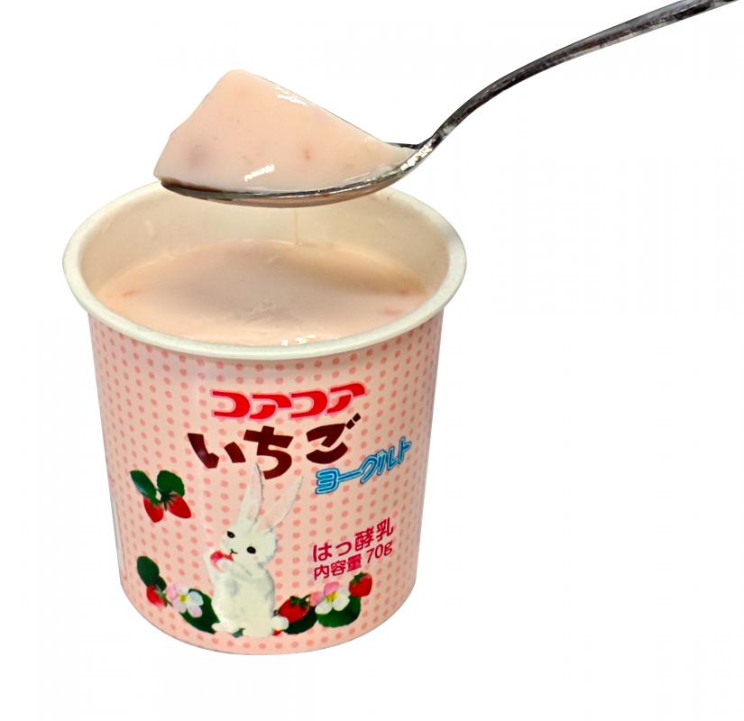 愛知ヨーク　コアコアヨーグルト＆国産ゼリーセット　16個入　ヨーグルト ゼリー デザート 国産果汁 詰め合わせ 健康 給食 保育園 幼稚園 小学校 中学校 支援学校 病院 高齢者施設