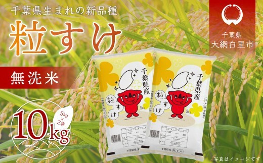令和7年産 千葉県産「粒すけ」10kg無洗米（5kg×2袋）  お米 無洗米 10kg 千葉県産 大網白里市 粒すけ 米  こめ 送料無料 A044
