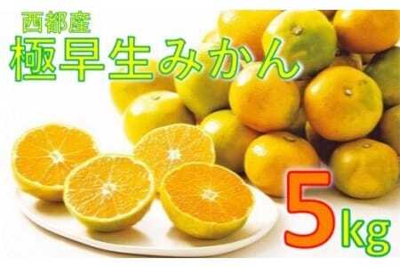 【先行予約】西都市産　みかん5キロ　9月より順次発送＜1-219＞