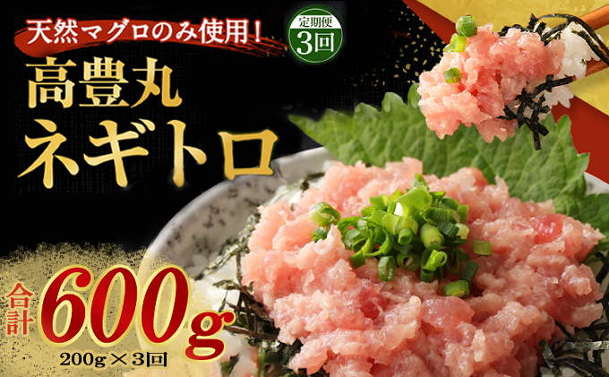 【定期便 / ３ヶ月連続】 土佐流藁焼きかつおのたたき１節と高豊丸ネギトロ２００ｇセット   魚介類 海産物 カツオ 鰹 わら焼き 高知 海鮮 冷凍 家庭用 訳あり 不揃い  連続 藁焼き かつおのた