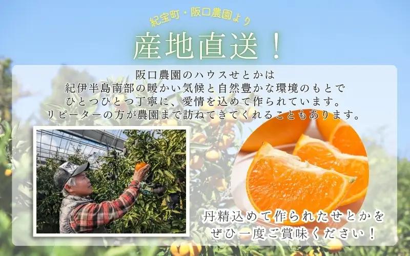 せとか 訳あり 阪口農園のハウスせとか 4kg【msa012】