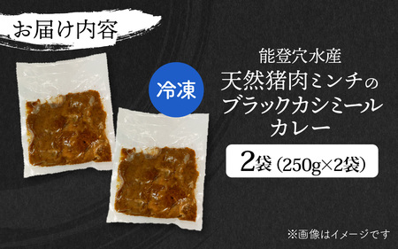 【能登・穴水産】天然猪肉ミンチのブラックカシミールカレー 2袋セット（計500g）| ジビエ 猪肉 レトルト