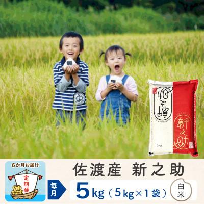 ふるさと納税 佐渡市 【毎月定期便】佐渡島産新之助 白米5Kg全6回