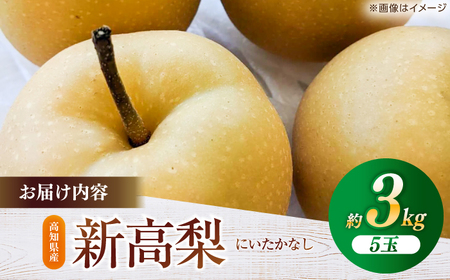 【先行予約】 新高梨 約3kg（4〜5玉） 〈2025年9月20日〜10月末発送〉 / 高知 針木 新高梨 梨 和梨 果物 フルーツ デザート 【川渕果樹園】[ATHX002]