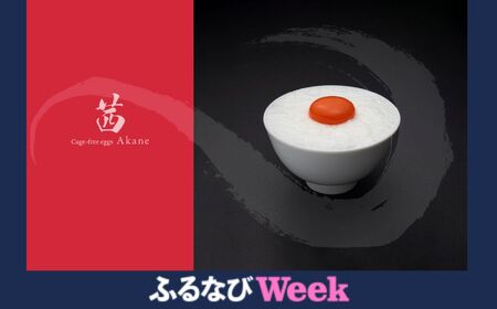 【ふるなびWEEK対象】見た目も旨みも想像以上 箱庭たまご 「箱庭茜」 10個 | 卵 たまご テレビ 話題 ごはん お供 タマゴ 卵かけ 真岡市 栃木県 送料無料 FN-Limited