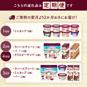 ＜全4回・隔月＞お試し定期便！ハーゲンダッツ人気 セット アイス スイーツ デザート_H0016-179