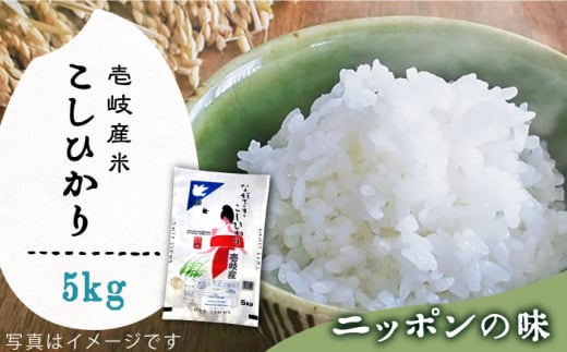 
壱岐産米 こしひかり 5kg [JCZ021] 米 お米 ごはん ご飯 コシヒカリ こしひかり 8000 8000円
