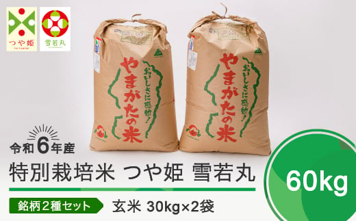 新米 令和7年3月上旬発送 つや姫 雪若丸 各30kg 計60kg 玄米 令和6年産 ja-tygxb60-3f