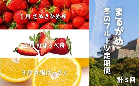 【冬の定期便3回】丸亀自慢のフルーツ 苺 はっさく ﾌﾙｰﾂﾌﾙｰﾂﾌﾙｰﾂﾌﾙｰﾂ 定期便