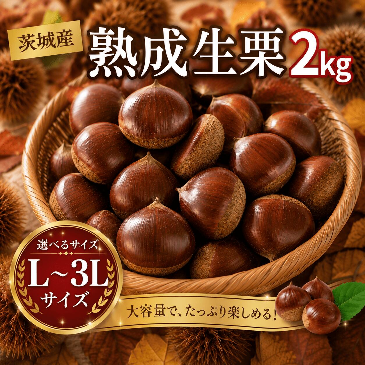 【ふるさと納税】 先行受付 栗 生栗 2kg 大粒 選べる大きさ L / 2L / 3L 令和8年産 完熟 栗 くり クリ kuri / 栗ごはん 栗スイーツ 2026年度産 国産 味覚 生ぐり なまぐり 和栗 わぐり 秋の味覚 マロン 生くり 甘栗 焼き栗 ゆでぐり 料理 和菓子 炊き込みご飯 栗きんとん