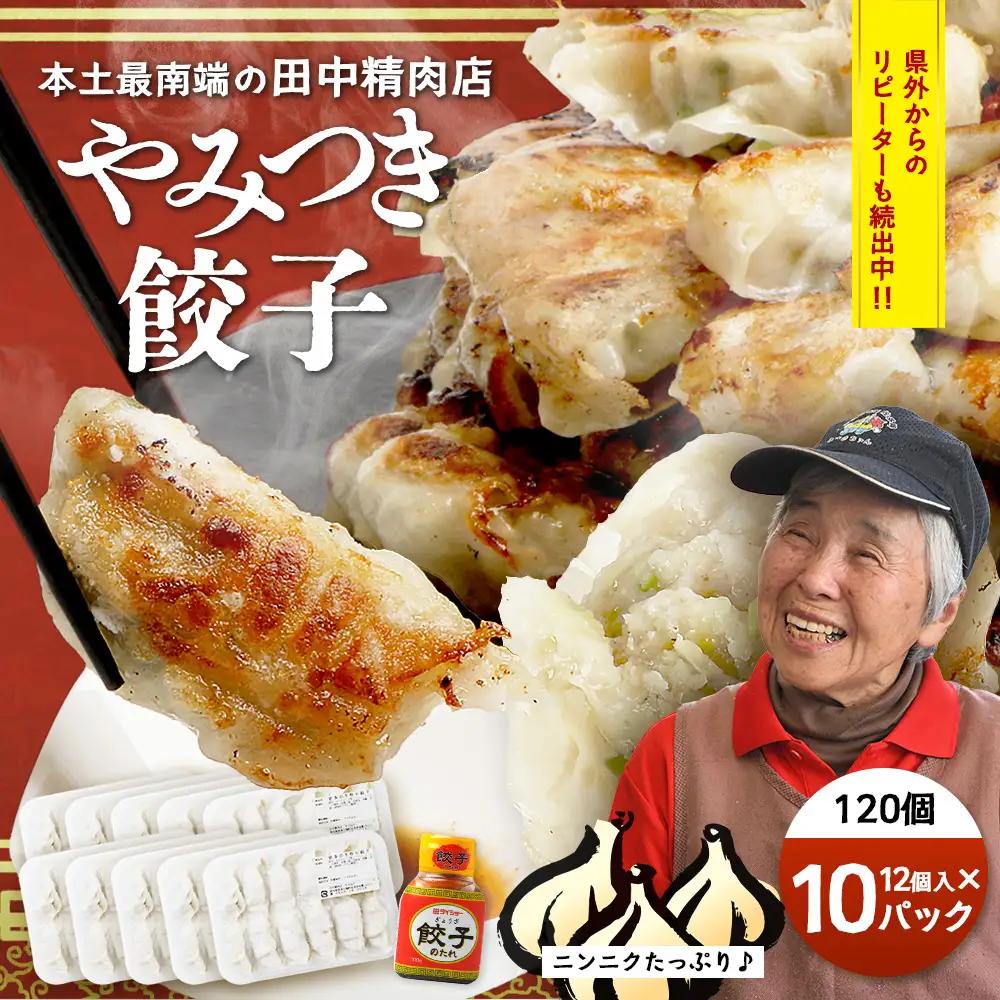 《リピーター続出！》佐多の田中肉屋 ニンニクたっぷりやみつき餃子 120個（12個入り×10パック） 餃子のタレ付き TA-402 | ぎょうざ 餃子 ギョウザ 豚肉 ひき肉 にんにく スタミナ餃子 焼くだけ 簡単 小分け 大容量 手作り お惣菜 おかず 冷凍 鹿児島県 南大隅町 田中精肉店