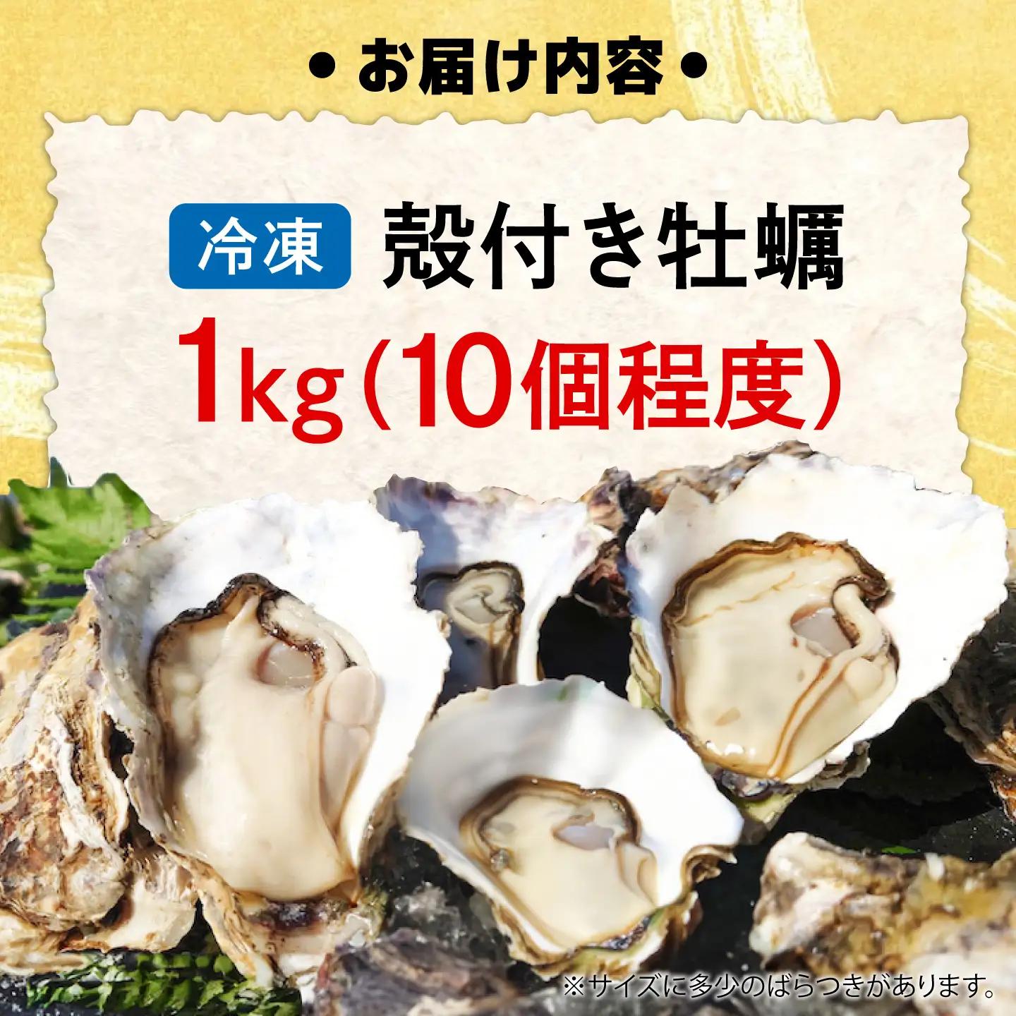 冷凍牡蠣 殻付き 1kg [XAO064]